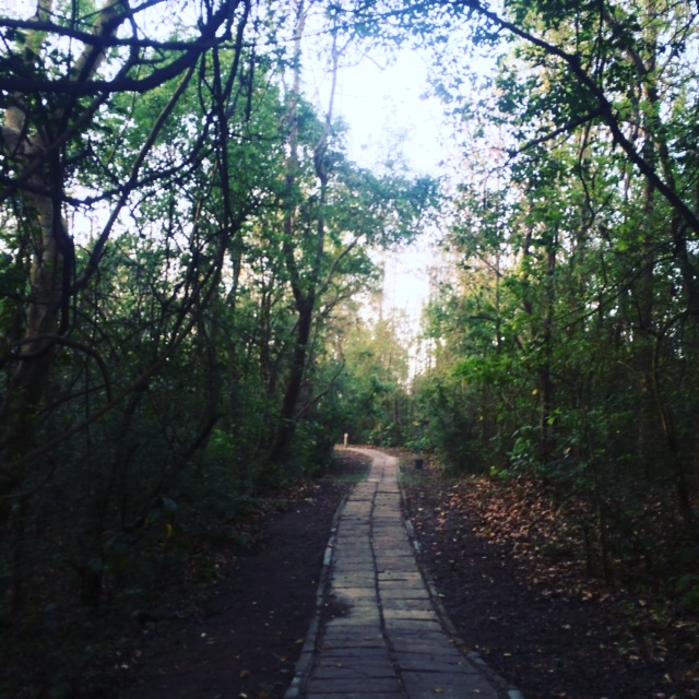 WALKING TOWARDS THE UNKNOWN