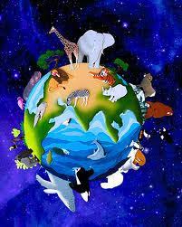 4F4E4F63-8B08-47B3-AF93-5F974274CF2D