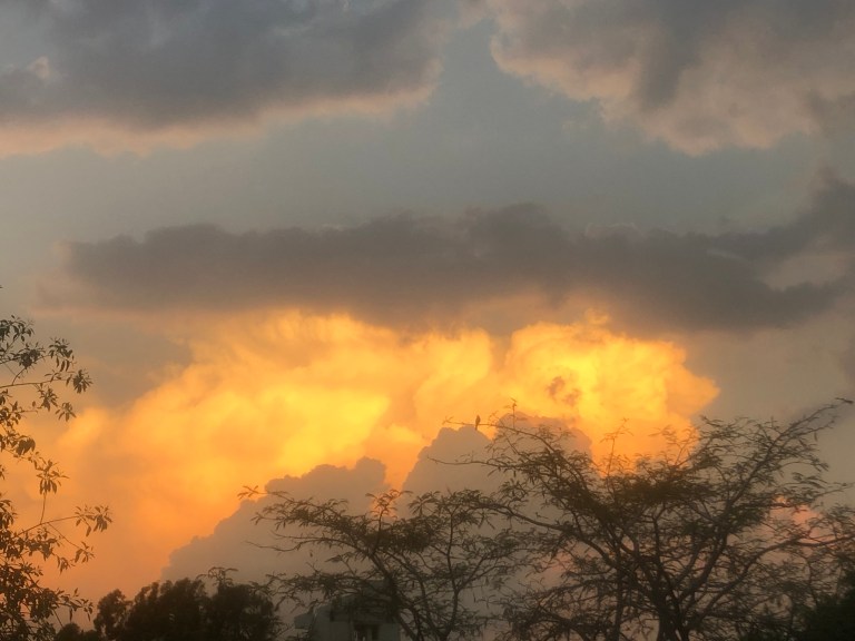 A590F69E-C1B4-4BF8-8506-2C0037C4AA4B